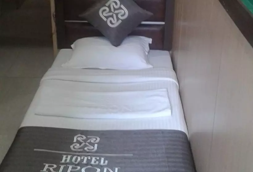 בית מלון כפרי Ripon Palace