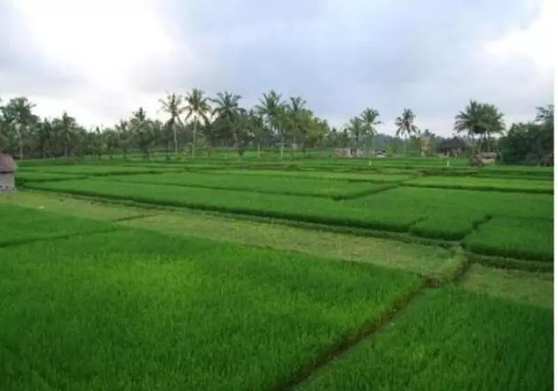 פנסיון Ume Sita Villa And Homestay