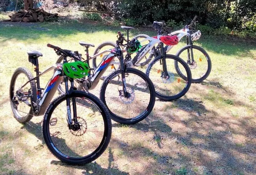 Podere San Filippo B&b Apartment Pet Friendly Rent Bike And Bike Friendly