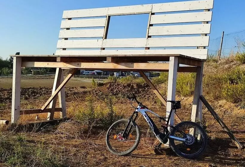 Podere San Filippo B&b Apartment Pet Friendly Rent Bike And Bike Friendly