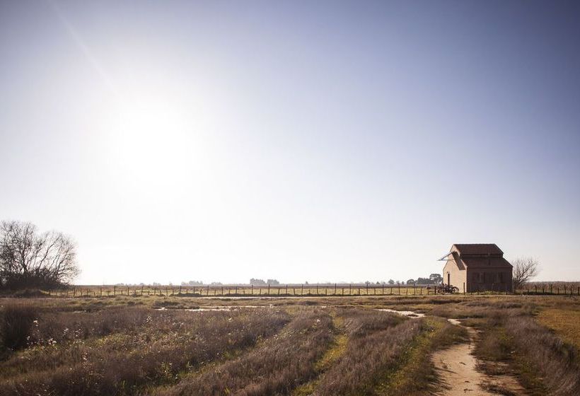 Be And See In Nature