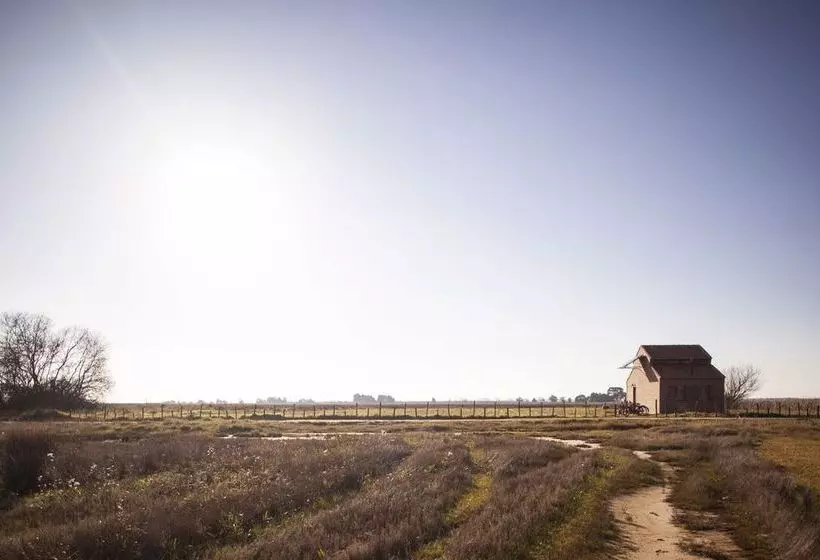 Be And See In Nature