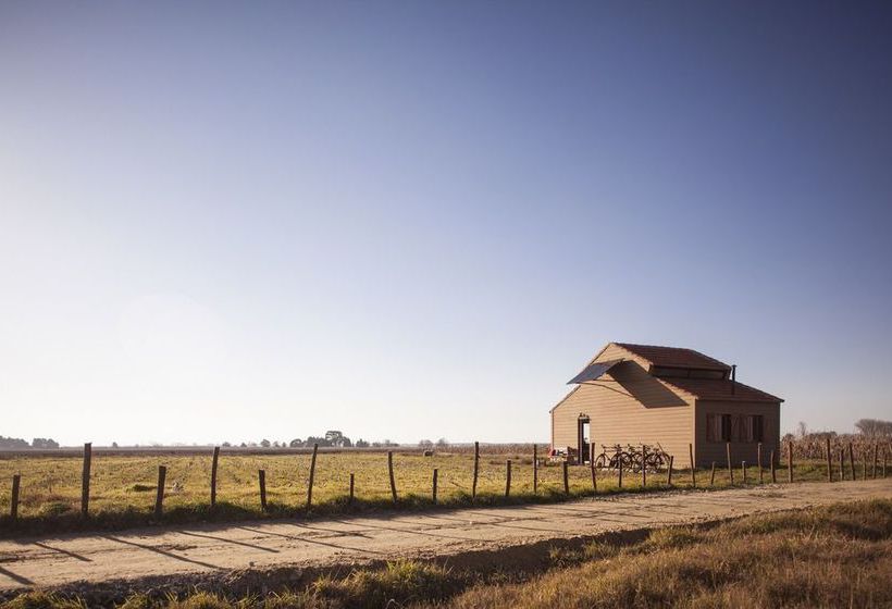 Be And See In Nature