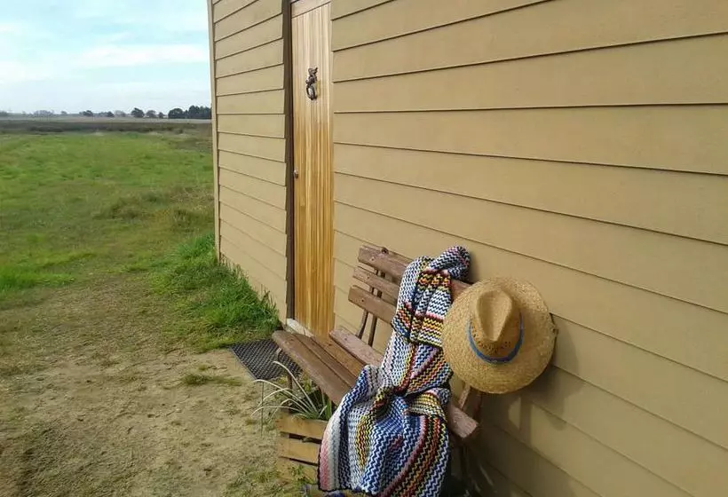 Be And See In Nature