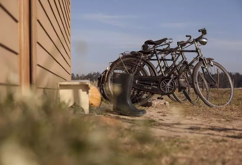 Be And See In Nature