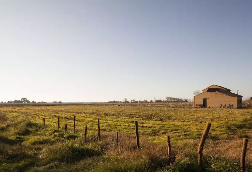 Be And See In Nature