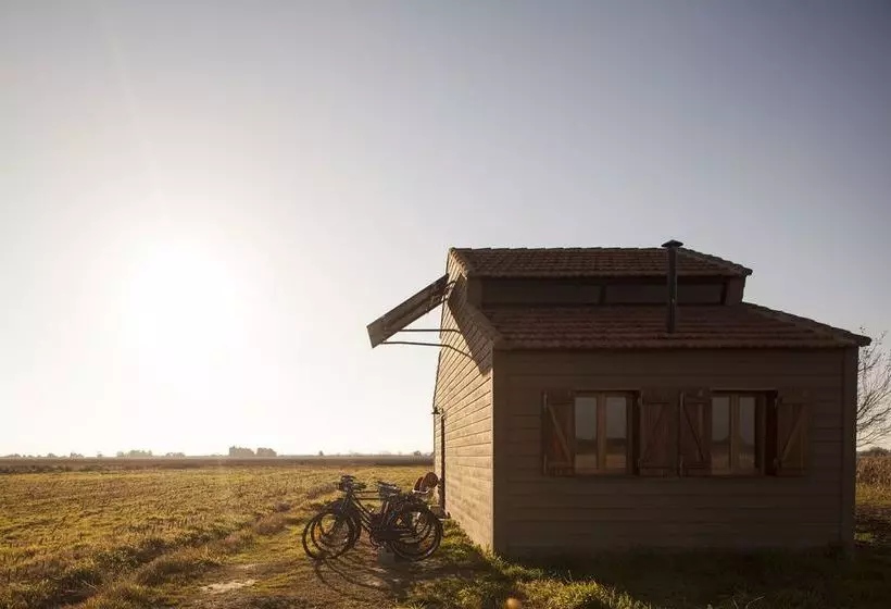 Be And See In Nature