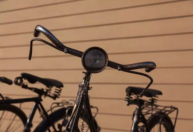 Be And See In Nature