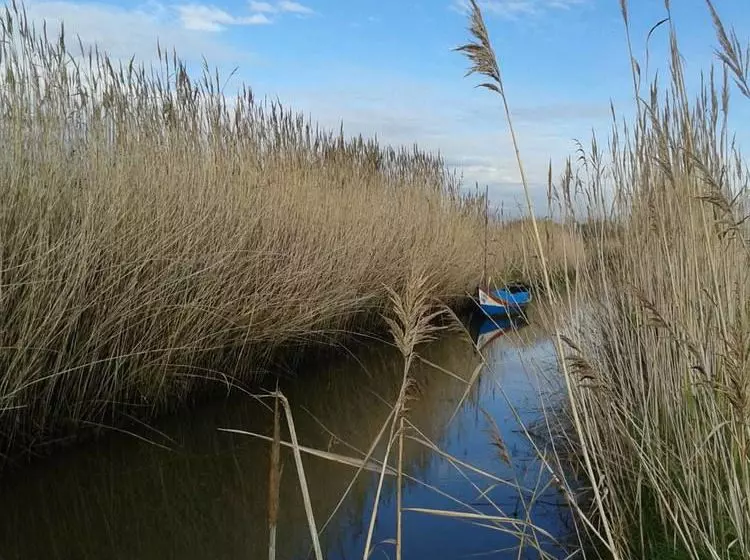 Be And See In Nature