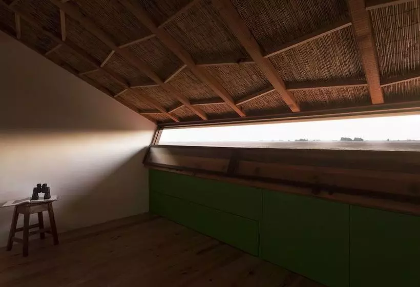 Be And See In Nature