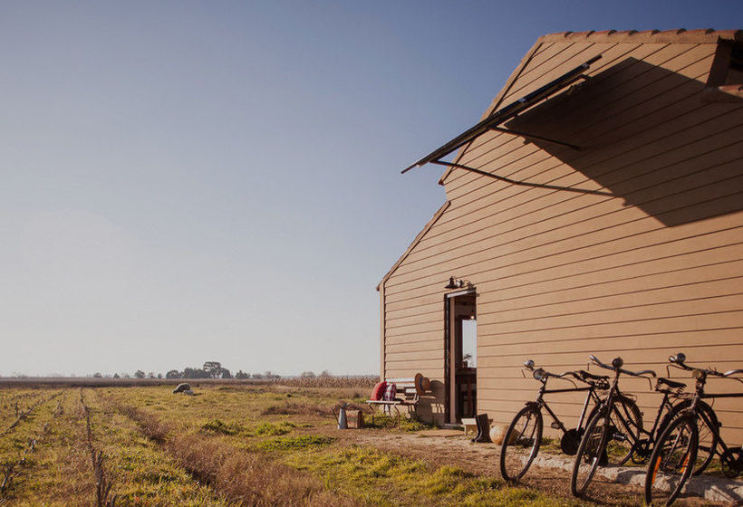 Be And See In Nature