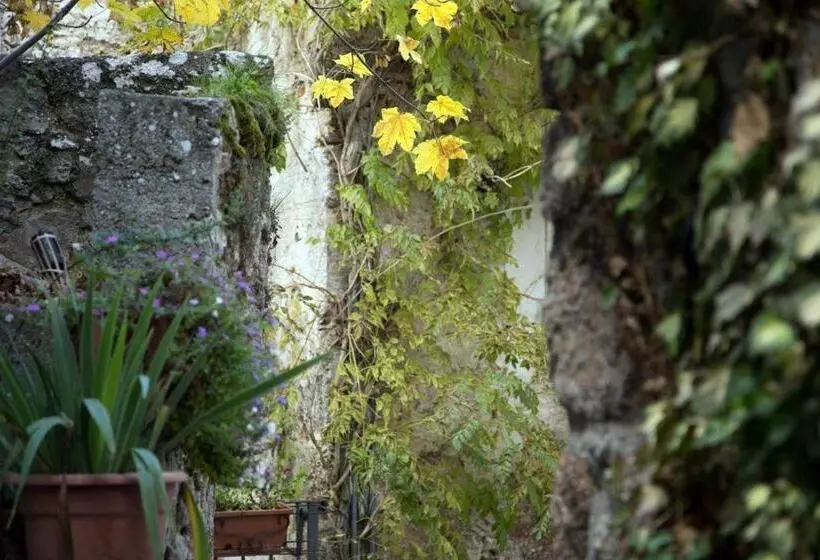 ベッドアンドブレックファースト La Bifora E Le Lune Vico Sotto Gli Archi 5