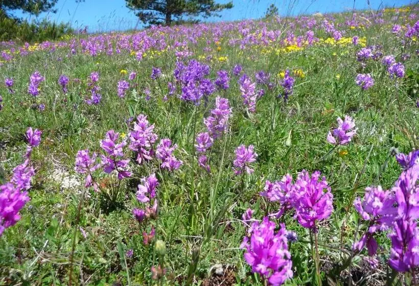 ベッドアンドブレックファースト La Bifora E Le Lune Vico Sotto Gli Archi 5