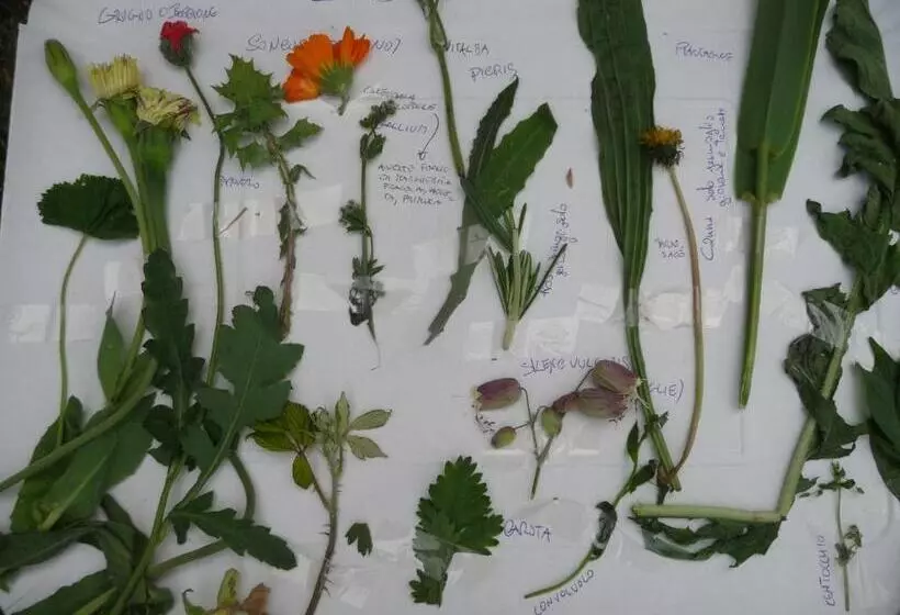 ベッドアンドブレックファースト La Bifora E Le Lune Vico Sotto Gli Archi 5