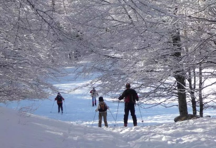 ベッドアンドブレックファースト La Bifora E Le Lune Vico Sotto Gli Archi 5
