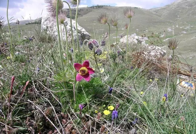 ベッドアンドブレックファースト La Bifora E Le Lune Vico Sotto Gli Archi 5