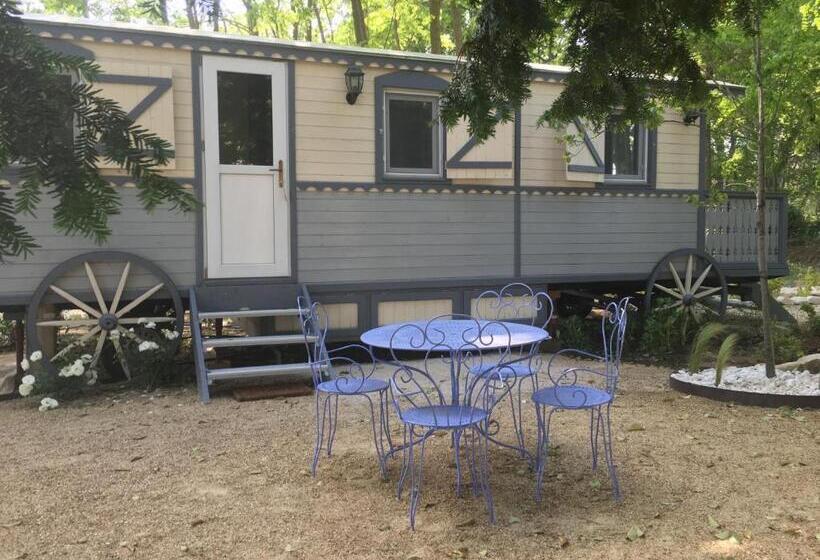 住宿加早餐  Mas Le 7