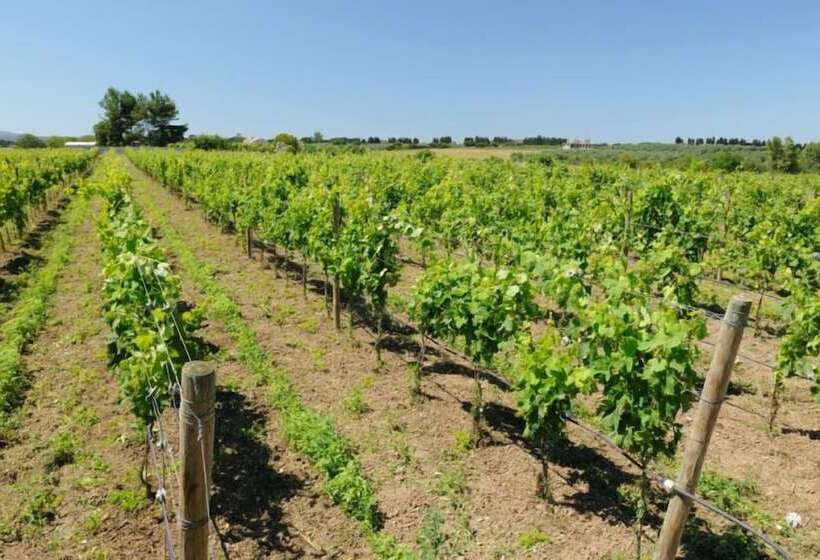 בית מלון כפרי Agriturismo I Vigneti