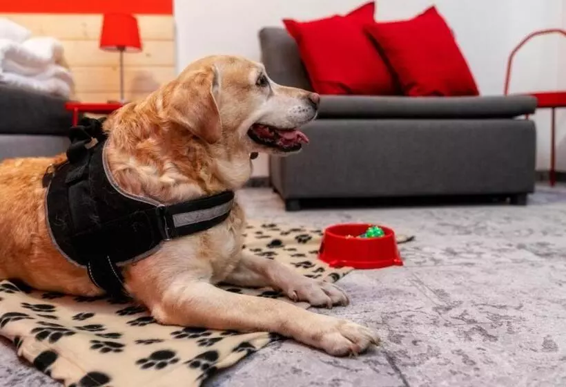 酒店 Gronie Ski & Bike