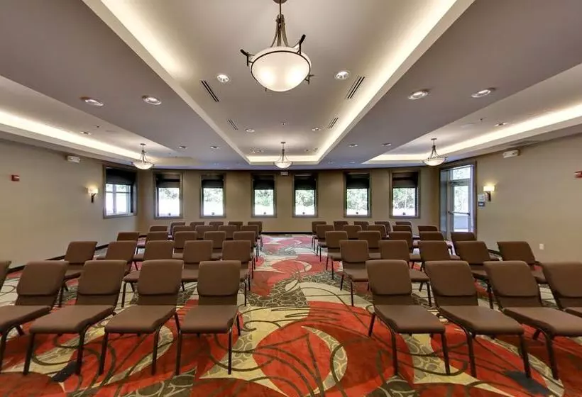 Отель Holiday Inn Express & Suites Plymouth   Ann Arbor Area, An Ihg