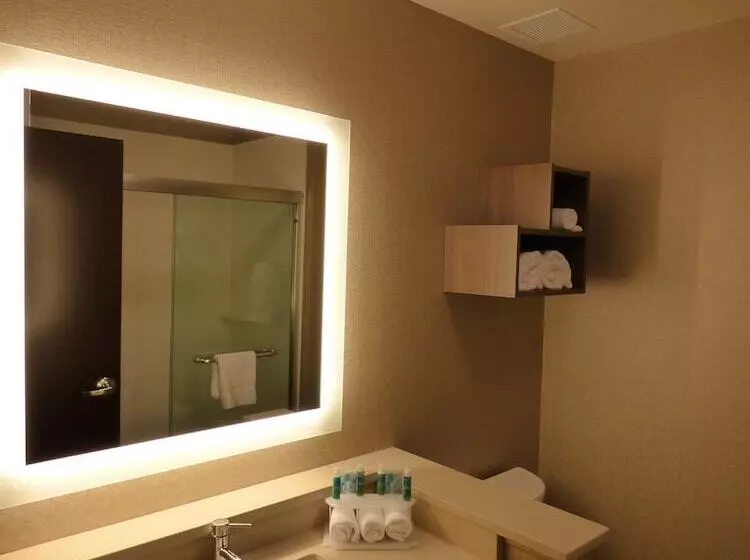 Отель Holiday Inn Express & Suites Plymouth   Ann Arbor Area, An Ihg