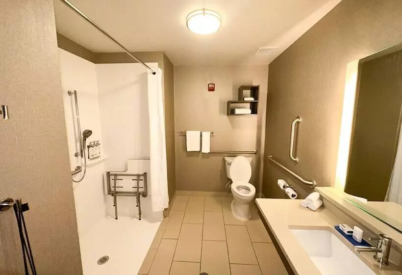 Отель Holiday Inn Express & Suites Plymouth   Ann Arbor Area, An Ihg