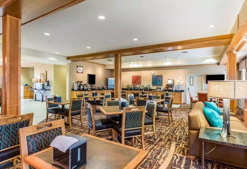 酒店 Mainstay Suites Sidney  Medical Center