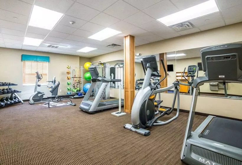 酒店 Mainstay Suites Sidney  Medical Center