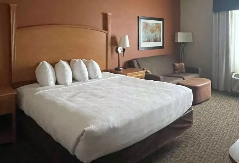 酒店 Mainstay Suites Sidney  Medical Center