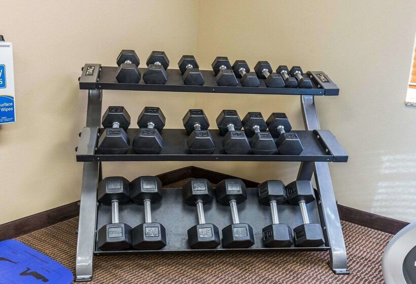 Отель Mainstay Suites Sidney  Medical Center