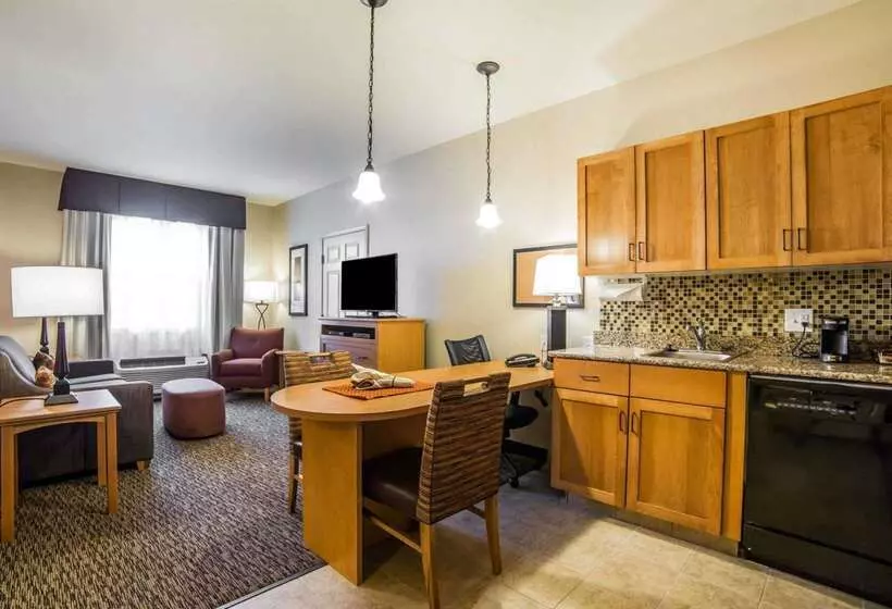 酒店 Mainstay Suites Sidney  Medical Center