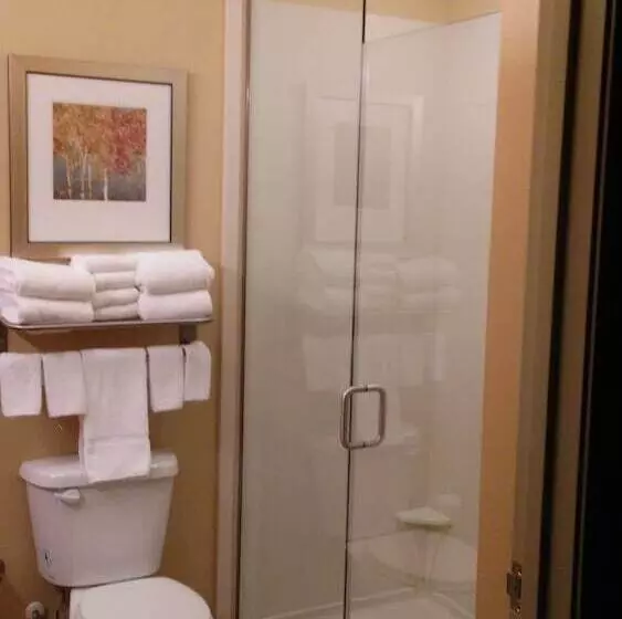 酒店 Mainstay Suites Sidney  Medical Center