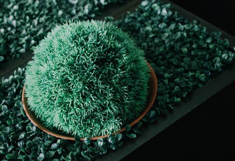 酒店 Maison De Cheer