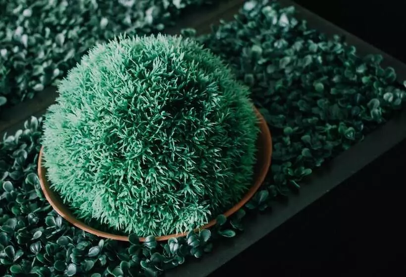 هتل Maison De Cheer