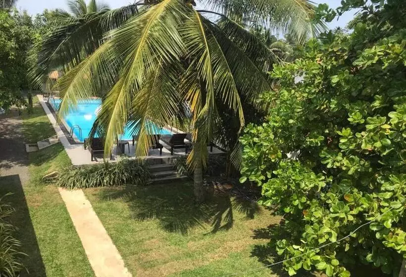 בית מלון כפרי Star Holiday Resort