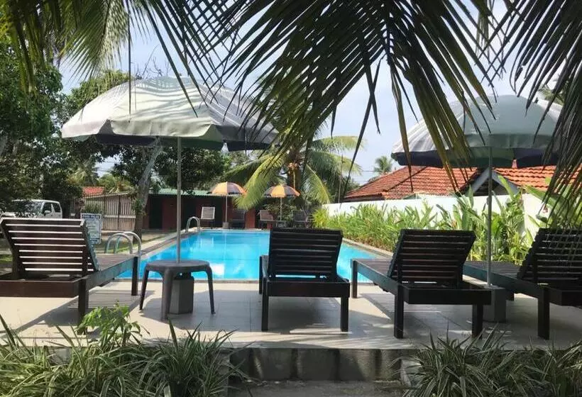 בית מלון כפרי Star Holiday Resort