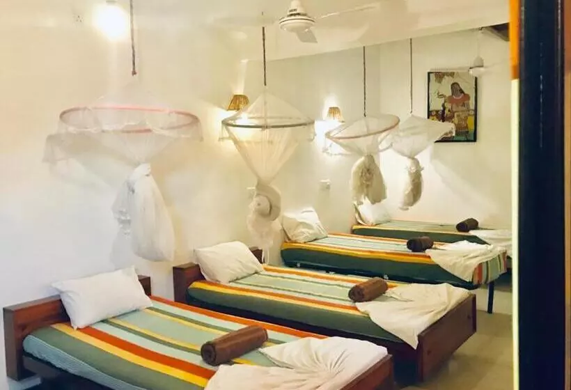 בית מלון כפרי Star Holiday Resort