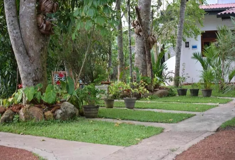 בית מלון כפרי Star Holiday Resort