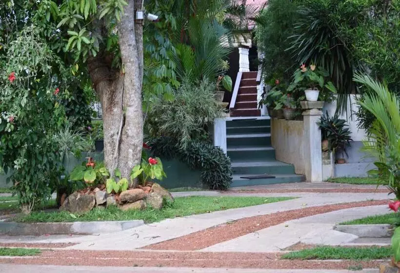 בית מלון כפרי Star Holiday Resort