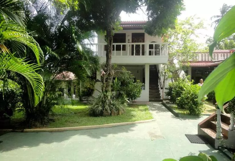 בית מלון כפרי Star Holiday Resort