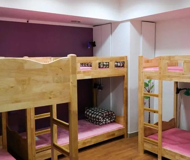 Mori Guesthouse  Hostel