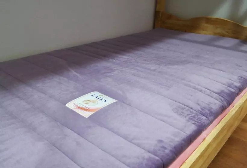 Mori Guesthouse  Hostel