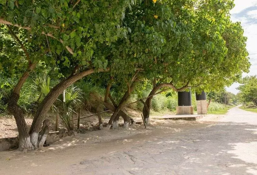 Seacastles Exora Beach Suite