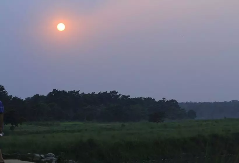 Chitwan Safari Camp & Lodge