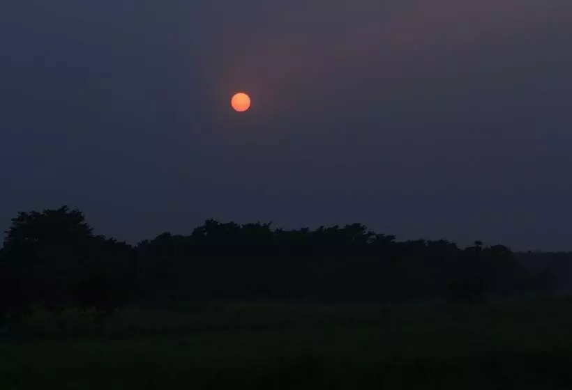 Chitwan Safari Camp & Lodge