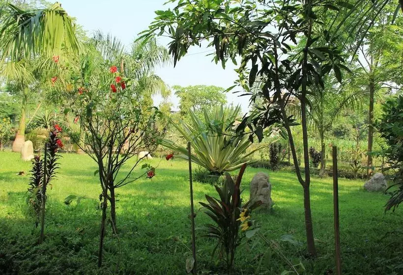 Chitwan Safari Camp & Lodge