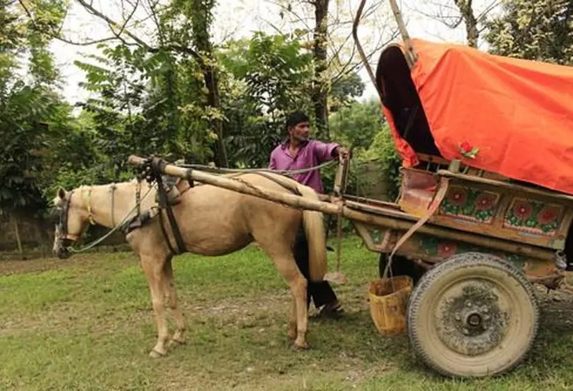Chitwan Safari Camp & Lodge