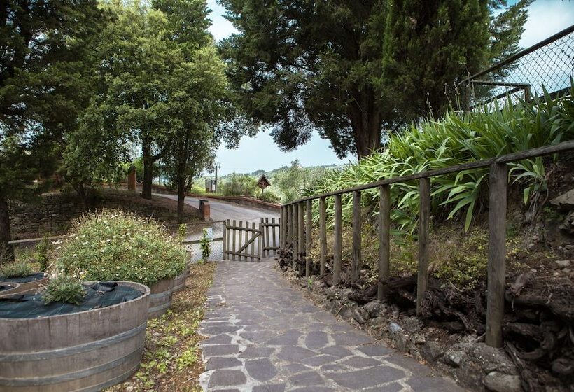 ホテル Agriturismo Tenuta Cantagallo