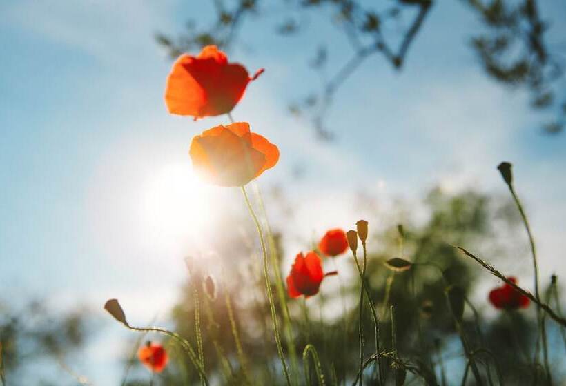 ホテル Agriturismo Tenuta Cantagallo