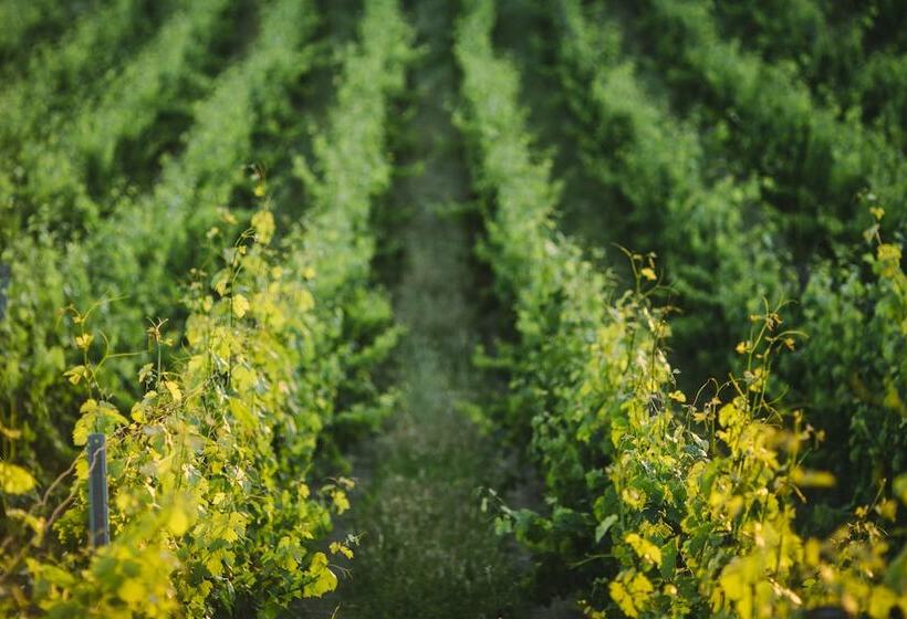 ホテル Agriturismo Tenuta Cantagallo